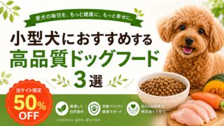 小型犬におすすめの高品質ドッグフード3選【全品限定50％OFF】 
