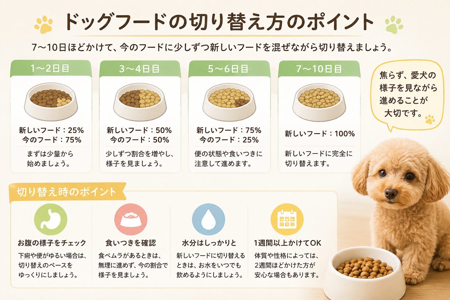 代替テキスト、キャプションをお願いします